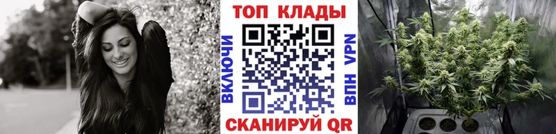 ГАШИШ Зеленогорск