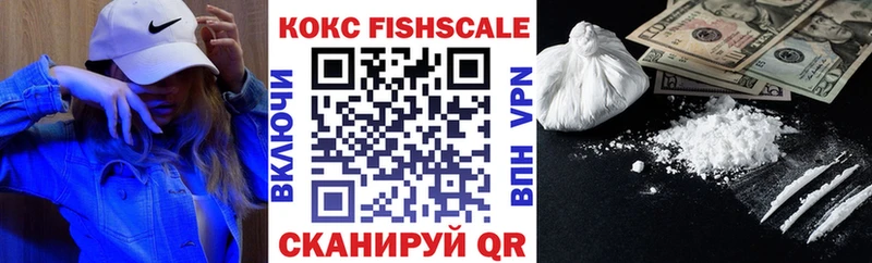 Cocaine Fish Scale  Купить закладки  Зеленогорск 