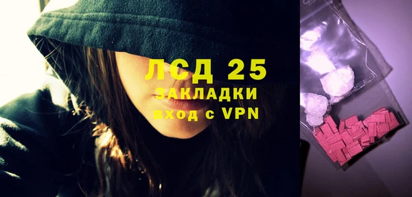 PSILOCYBIN Магас