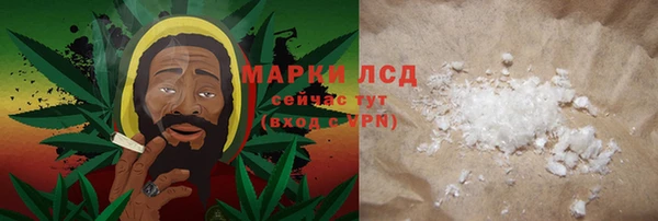 PSILOCYBIN Магас
