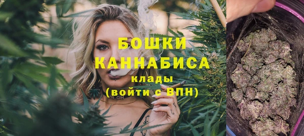 PSILOCYBIN Магас