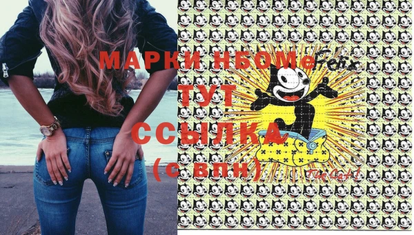 PSILOCYBIN Магас