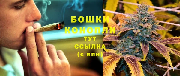 сатива Майский