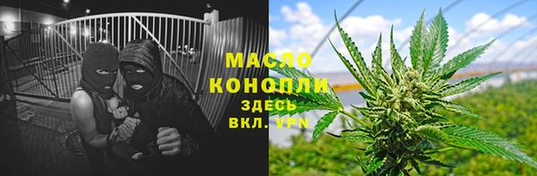 сатива Майский