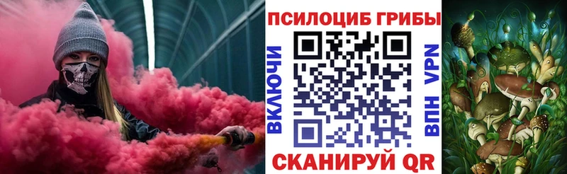 Купить где  Зеленогорск  Псилоцибиновые грибы Cubensis 